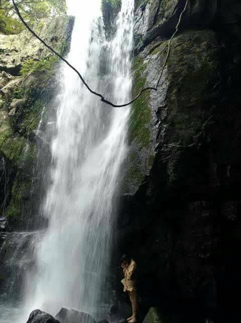 あなたの願いを叶えます！占い彩華SAIKAのホームページ。福岡県豊前市