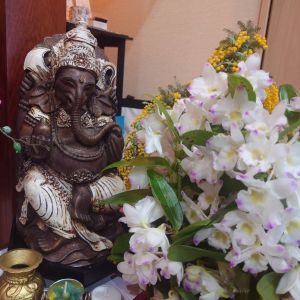 あなたの願いを叶えます！占い彩華SAIKAのホームページ。福岡県豊前市